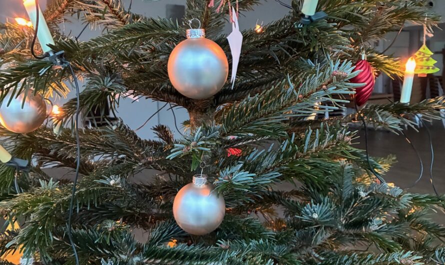 Frohe und gesegnete Weihnachten